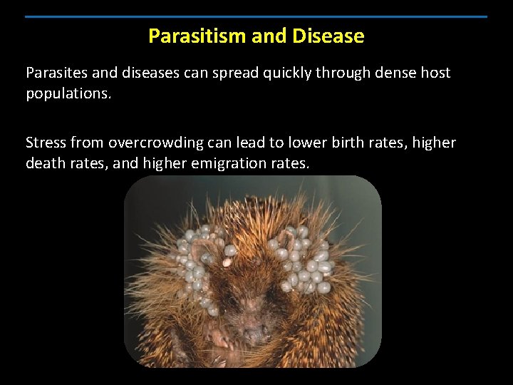 Parasitism and Disease Parasites and diseases can spread quickly through dense host populations. Stress