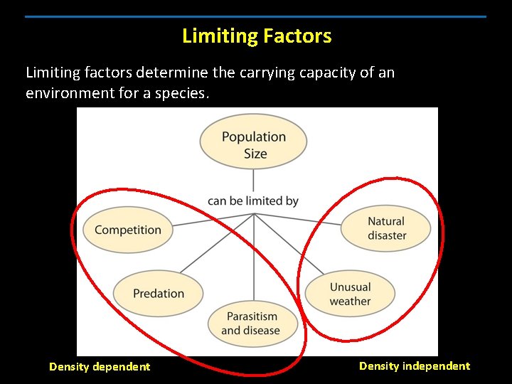 Limiting Factors Limiting factors determine the carrying capacity of an environment for a species.