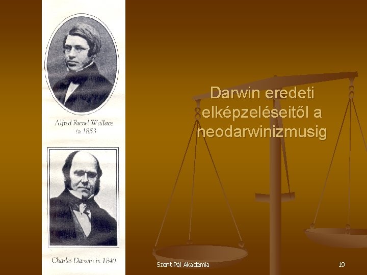 Darwin eredeti elképzeléseitől a neodarwinizmusig Szent Pál Akadémia 19 