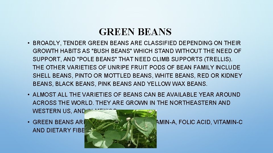 GREEN BEANS • BROADLY, TENDER GREEN BEANS ARE CLASSIFIED DEPENDING ON THEIR GROWTH HABITS