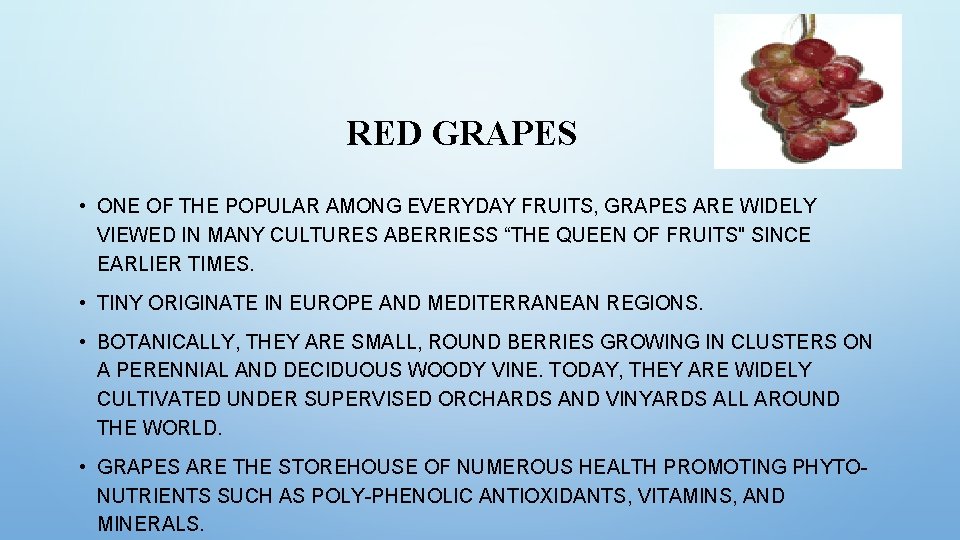 RED GRAPES • ONE OF THE POPULAR AMONG EVERYDAY FRUITS, GRAPES ARE WIDELY VIEWED