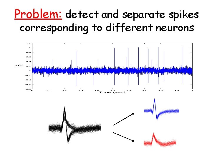 Problem: detect and separate spikes corresponding to different neurons 