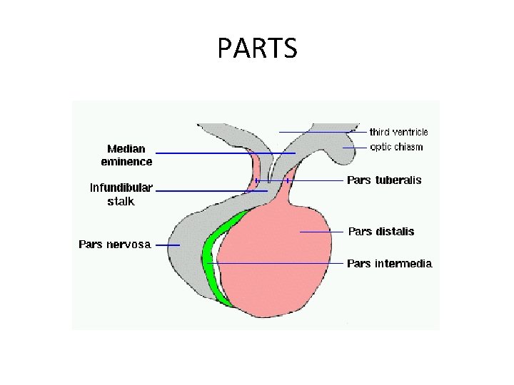 PARTS 