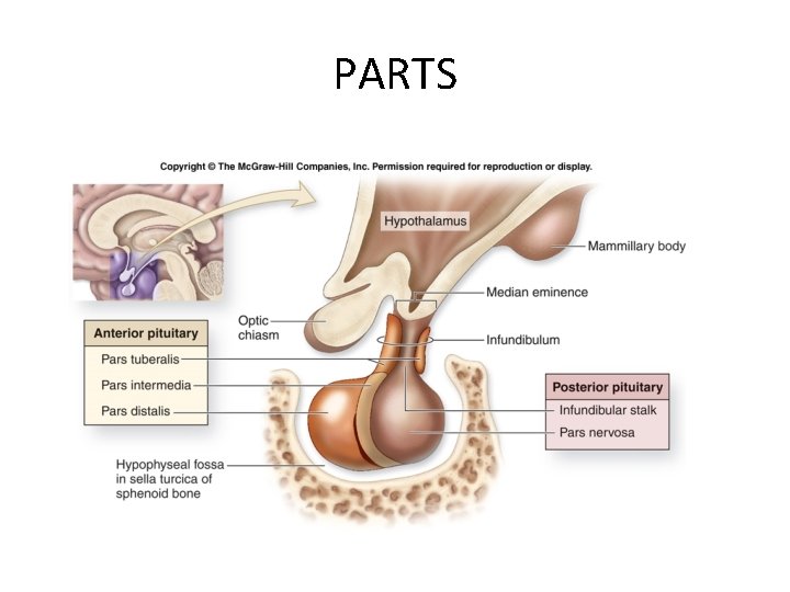 PARTS 