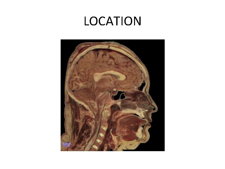 LOCATION 