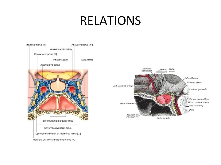 RELATIONS 