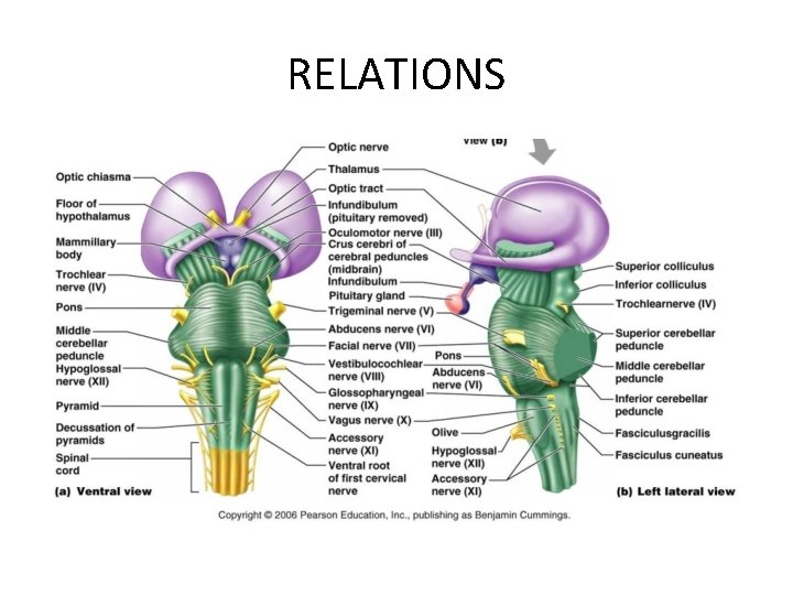 RELATIONS 
