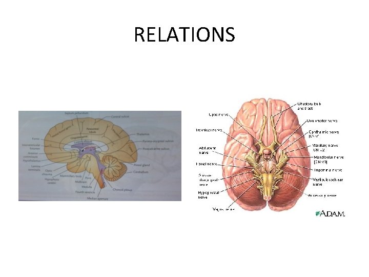 RELATIONS 