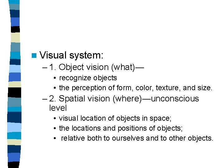 n Visual system: – 1. Object vision (what)— • recognize objects • the perception