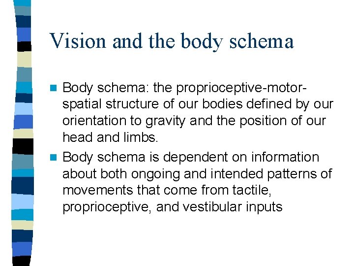 Vision and the body schema Body schema: the proprioceptive-motorspatial structure of our bodies defined