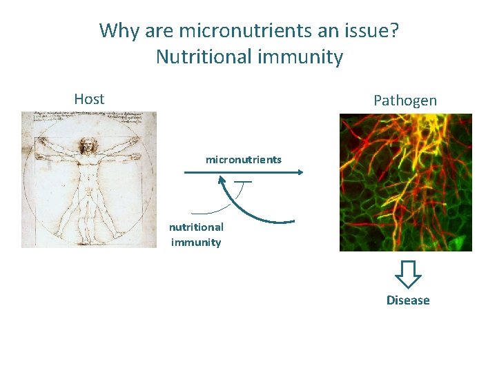 Why are micronutrients an issue? Nutritional immunity Host Pathogen micronutrients nutritional immunity Disease 