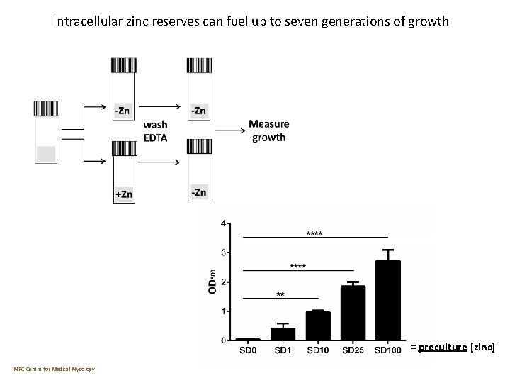 Intracellular zinc reserves can fuel up to seven generations of growth = preculture [zinc]