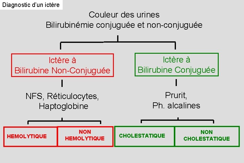 Diagnostic d’un ictère Couleur des urines Bilirubinémie conjuguée et non-conjuguée Ictère à Bilirubine Non-Conjuguée