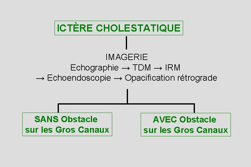 ICTÈRE CHOLESTATIQUE IMAGERIE Echographie → TDM → IRM → Echoendoscopie → Opacification rétrograde SANS