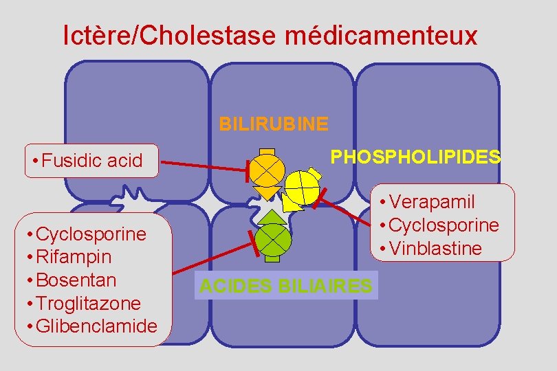 Ictère/Cholestase médicamenteux BILIRUBINE • Fusidic acid • Cyclosporine • Rifampin • Bosentan • Troglitazone