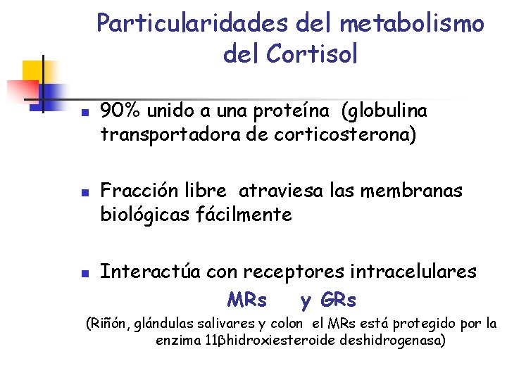 Particularidades del metabolismo del Cortisol n n n 90% unido a una proteína (globulina