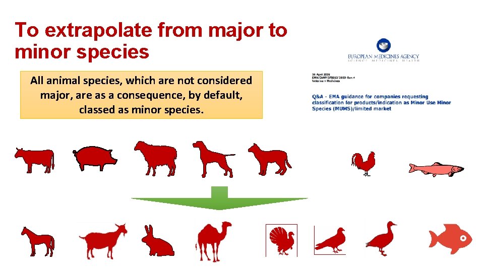 To extrapolate from major to minor species All animal species, which are not considered