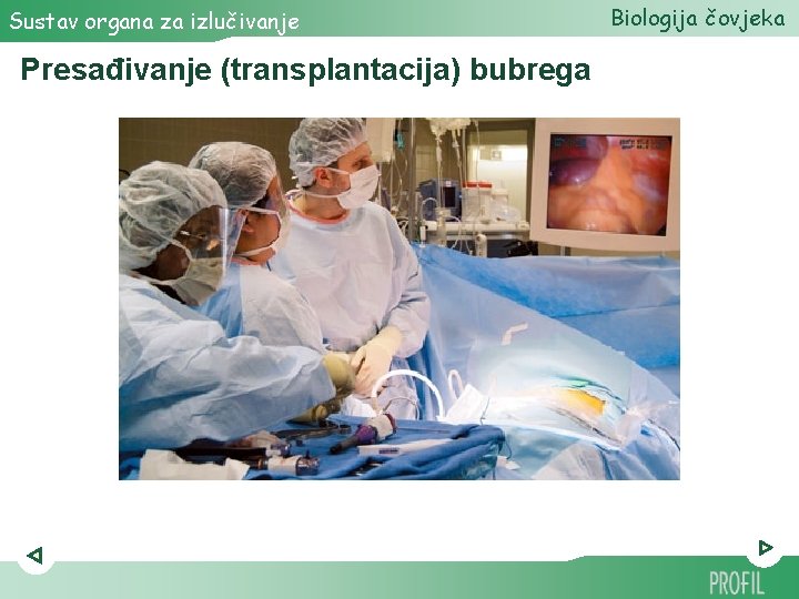 Sustav organa za izlučivanje Presađivanje (transplantacija) bubrega Biologija čovjeka Sustav organa za izlučivanje Presađivanje (transplantacija) bubrega Biologija čovjeka