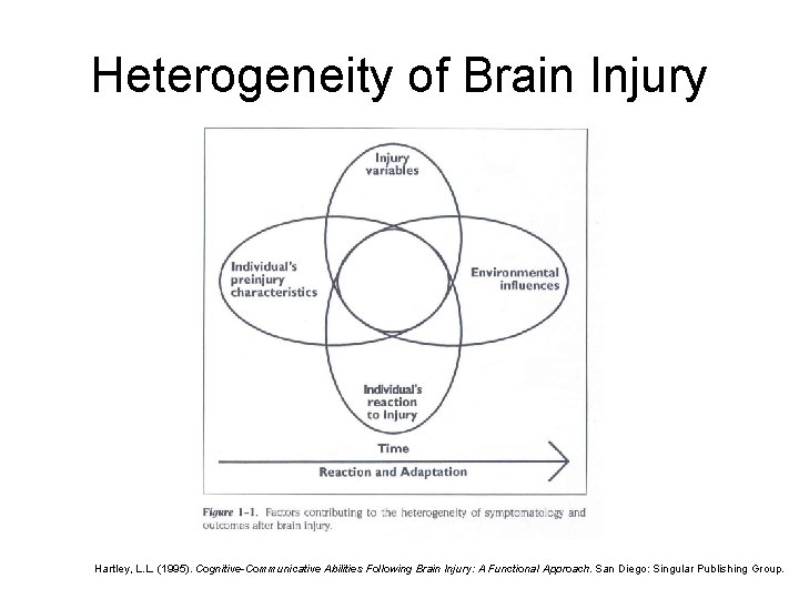 Heterogeneity of Brain Injury Hartley, L. L. (1995). Cognitive-Communicative Abilities Following Brain Injury: A