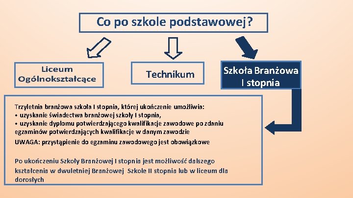 Co po szkole podstawowej? Technikum Szkoła Branżowa I stopnia Trzyletnia branżowa szkoła I stopnia,