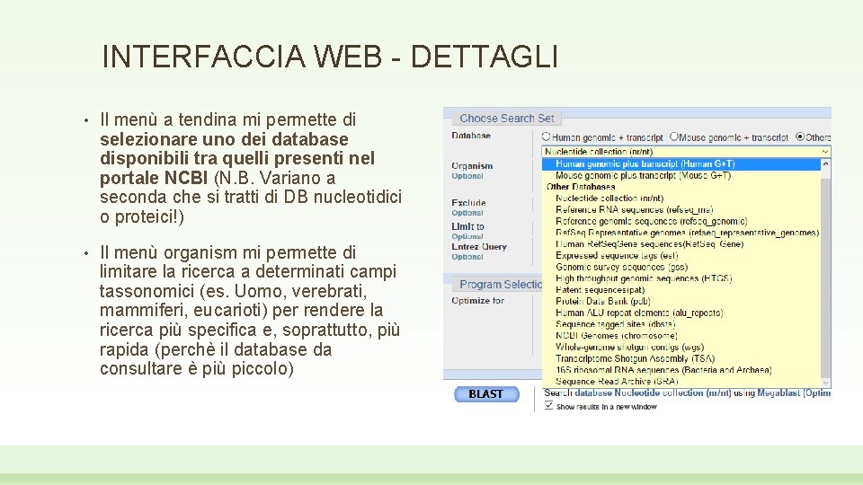 INTERFACCIA WEB - DETTAGLI • Il menù a tendina mi permette di selezionare uno