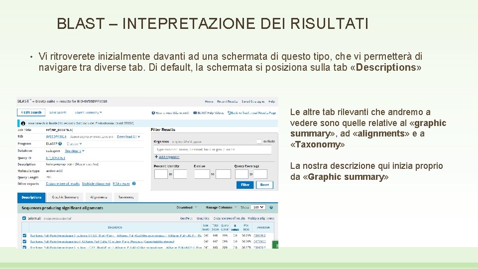 BLAST – INTEPRETAZIONE DEI RISULTATI • Vi ritroverete inizialmente davanti ad una schermata di