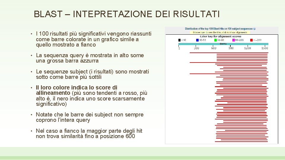 BLAST – INTEPRETAZIONE DEI RISULTATI • I 100 risultati più significativi vengono riassunti come