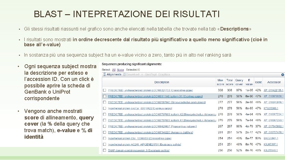 BLAST – INTEPRETAZIONE DEI RISULTATI • Gli stessi risultati riassunti nel grafico sono anche