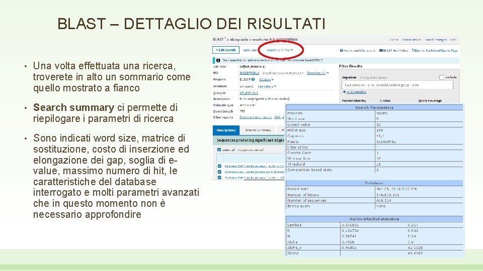 BLAST – DETTAGLIO DEI RISULTATI • Una volta effettuata una ricerca, troverete in alto