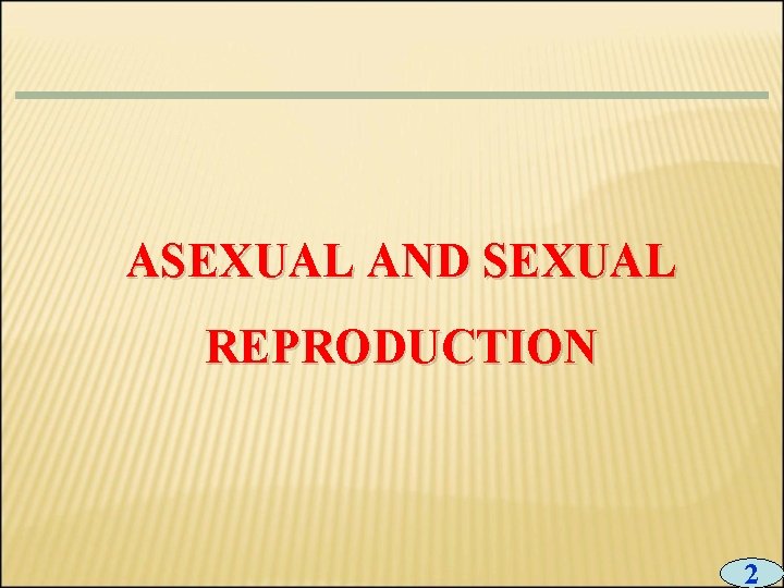 ASEXUAL AND SEXUAL REPRODUCTION 2 