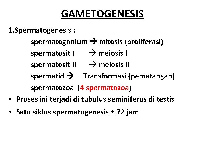 GAMETOGENESIS 1. Spermatogenesis : spermatogonium mitosis (proliferasi) spermatosit I meiosis I spermatosit II meiosis