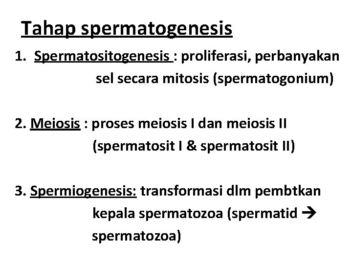 Tahap spermatogenesis 1. Spermatositogenesis : proliferasi, perbanyakan sel secara mitosis (spermatogonium) 2. Meiosis :