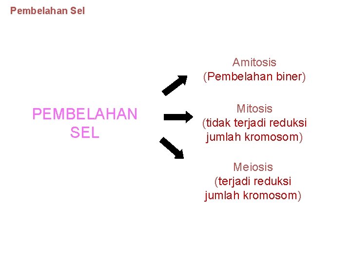 Pembelahan Sel Amitosis (Pembelahan biner) PEMBELAHAN SEL Mitosis (tidak terjadi reduksi jumlah kromosom) Meiosis