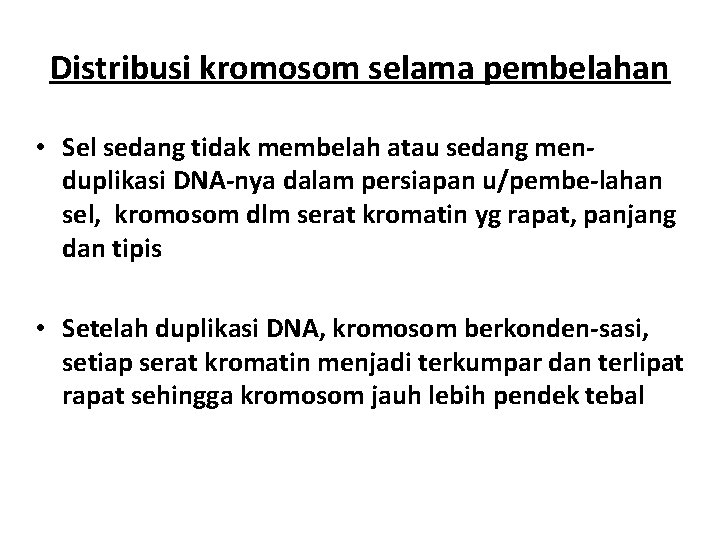 Distribusi kromosom selama pembelahan • Sel sedang tidak membelah atau sedang menduplikasi DNA-nya dalam