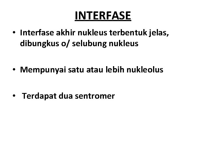 INTERFASE • Interfase akhir nukleus terbentuk jelas, dibungkus o/ selubung nukleus • Mempunyai satu