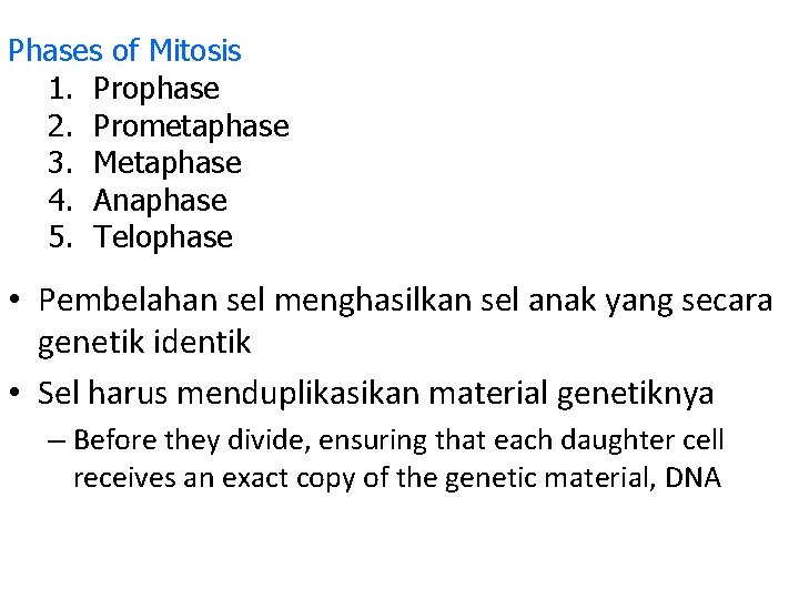 Phases of Mitosis 1. Prophase 2. Prometaphase 3. Metaphase 4. Anaphase 5. Telophase •