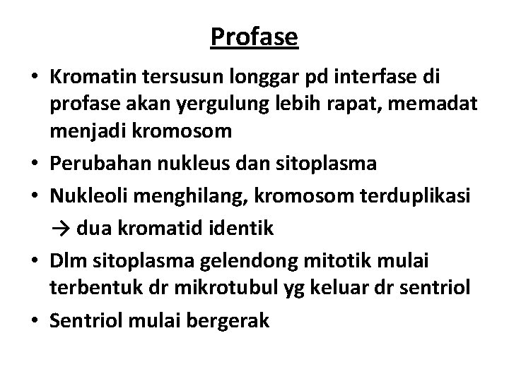 Profase • Kromatin tersusun longgar pd interfase di profase akan yergulung lebih rapat, memadat
