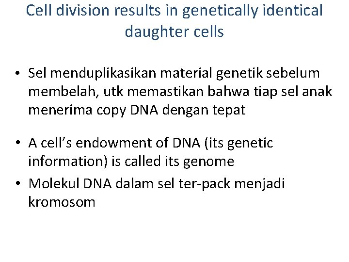 Cell division results in genetically identical daughter cells • Sel menduplikasikan material genetik sebelum