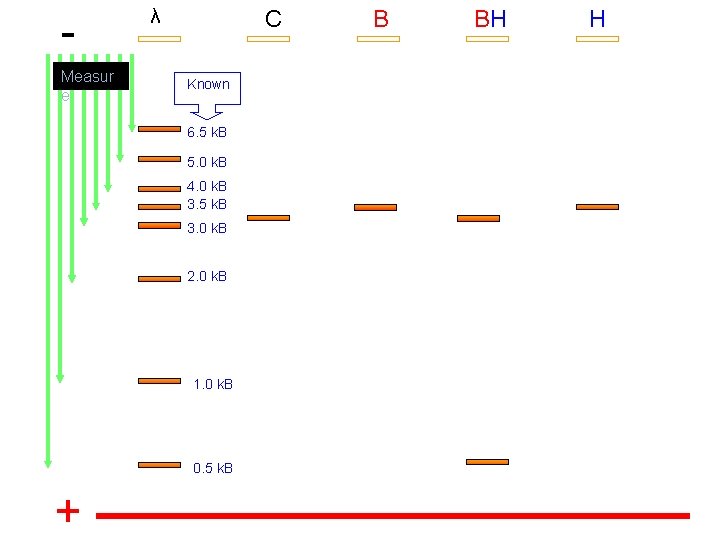 Measur e λ C Known 6. 5 k. B 5. 0 k. B 4.