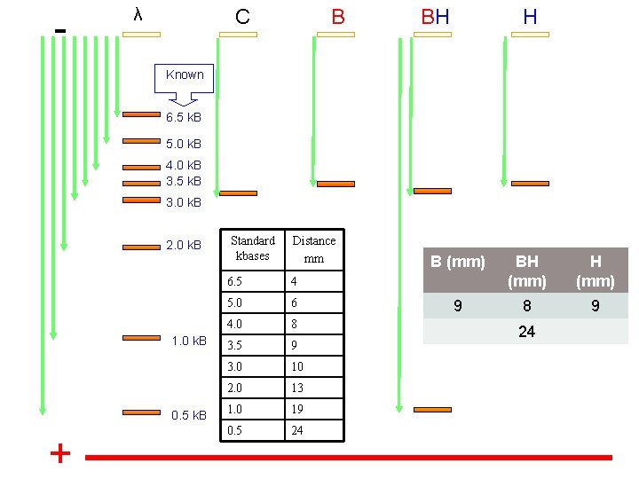 - λ C B BH H Known 6. 5 k. B 5. 0 k.