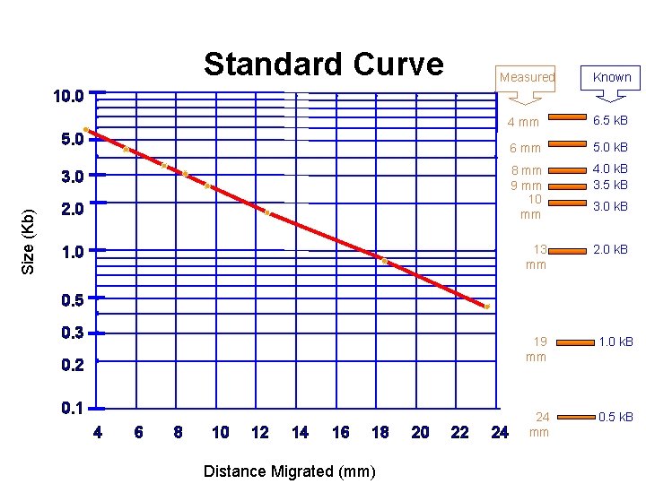 Standard Curve Size (k. Bases) Measured Known 10. 0 4 mm 6. 5 k.