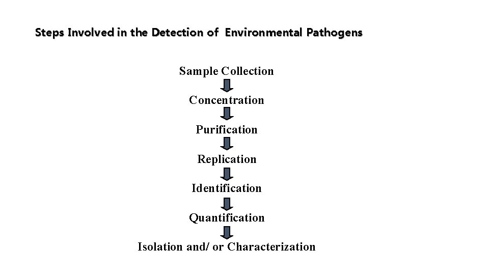 Steps Involved in the Detection of Environmental Pathogens Sample Collection Concentration Purification Replication Identification