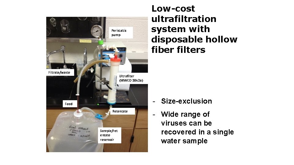Peristaltic pump Filtrate/waste Low-cost ultrafiltration system with disposable hollow fiber filters Ultrafilter (MWCO 30