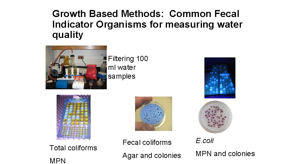 Growth Based Methods: Common Fecal Indicator Organisms for measuring water quality Filtering 100 ml