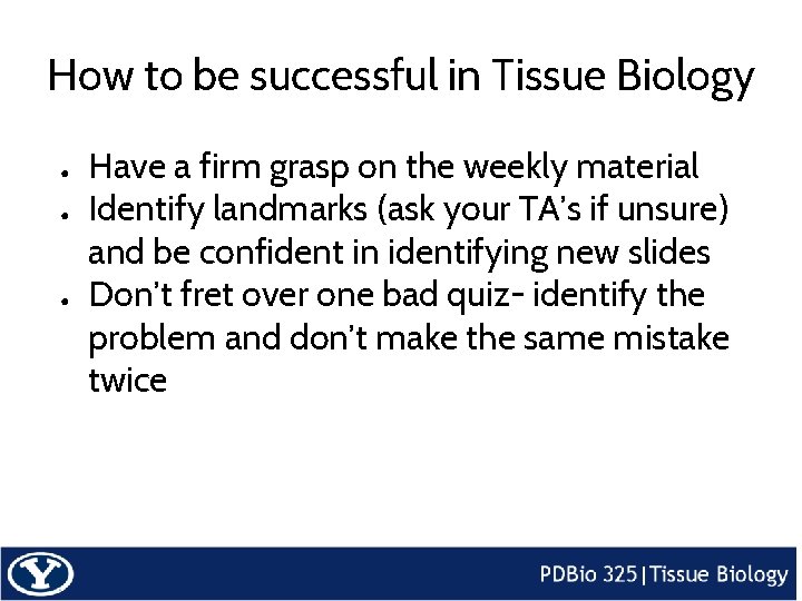 How to be successful in Tissue Biology ● ● ● Have a firm grasp
