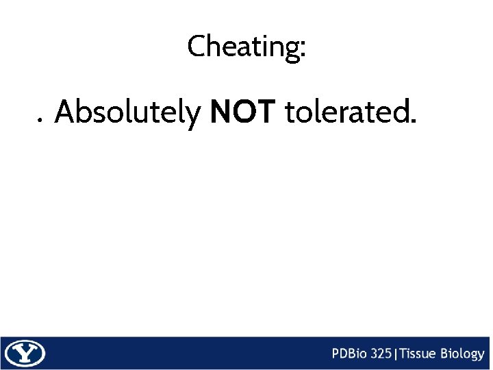 Cheating: ● Absolutely NOT tolerated. 