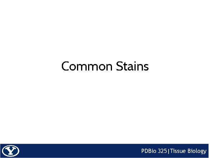 Common Stains 