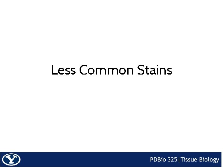 Less Common Stains 