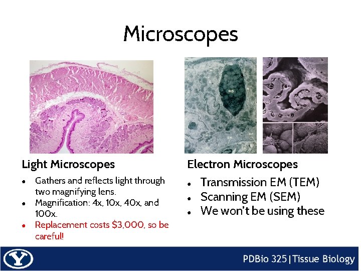 Microscopes Light Microscopes ● ● ● Gathers and reflects light through two magnifying lens.