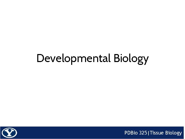 Developmental Biology 